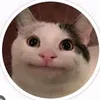mamatop123845