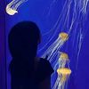 najwaaa_029