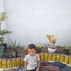 kafa.lintang2