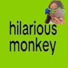 hilaryhilariousvlogs_05