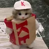 cat_kfc3