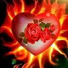 user1792178068192