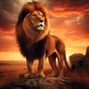 animal_sauvage22