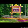 0909suzavym