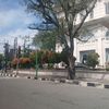 bagus59403