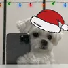 pablosilva5692