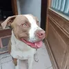 davidsmrka4