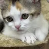 ちゃんかわいこ