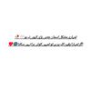 rose_petal903