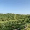 saif_istanbul