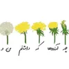 ii_pari.zad_ii