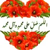 user67061410559085