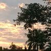 resti.lestari76