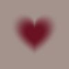 aisha.sharifi