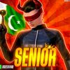 senior_stocks