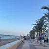 _lily_9x
