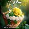 amin.jafary26