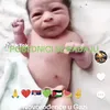 pedja.predrag