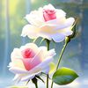 shahin.sheikh26