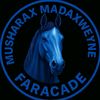 curadkamj