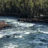 sannaisakssonn