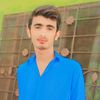 حافظ علی اصغر پوہلہ