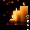 teketel111.tamre