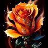 user6313429726555