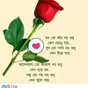 www.tiktok.comomarfaruk4