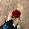 batoolmohmmad55