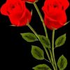 user9177560285242