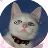 _tsukki_boy_