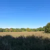 flynngr
