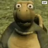 torithrl7