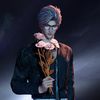 kitten_n109zone