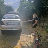 iordan.monica0