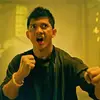 kung.fu.enthusiast