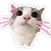 yasna13916