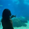 nekas__76