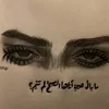 sh.n_sh