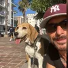 francesco.mistico