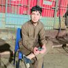 zainullabadin5