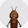 vxzcyze