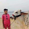 haroon23355