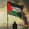 faheembalouch9