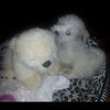 jasmin.356