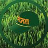 bay.sports