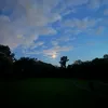 ethanmendelle5