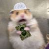 fazobeemin