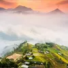 huongcolau98